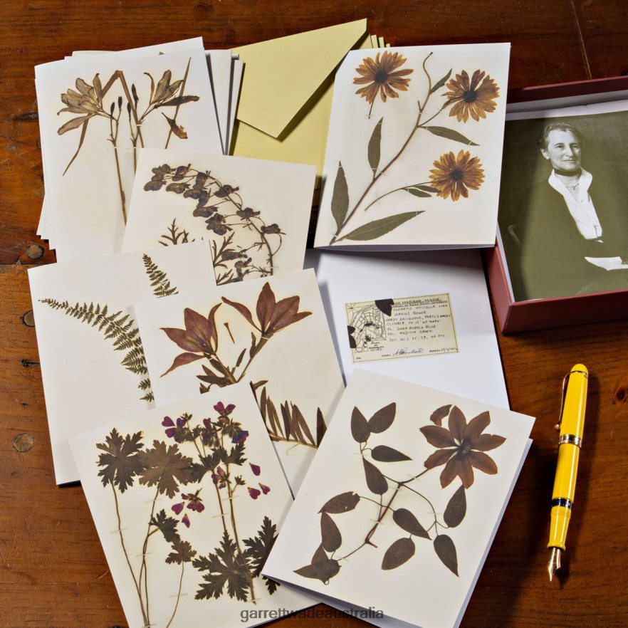 Garrett Wade Botanical Inspired Notecard Set Home & Kitchen 46JHVR1019