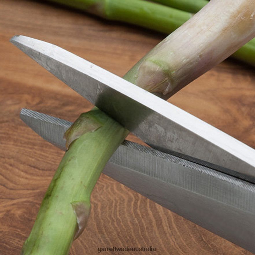 Garrett Wade Stainless Kitchen / Household Shears Home & Kitchen 46JHVR781