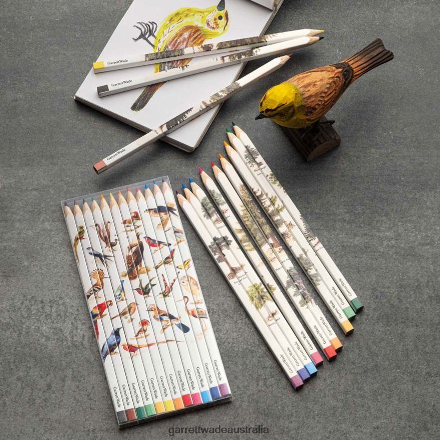 Garrett Wade Set Of 12 Birds & Trees -Themed Color Artist Pencils Workshop 46JHVR596