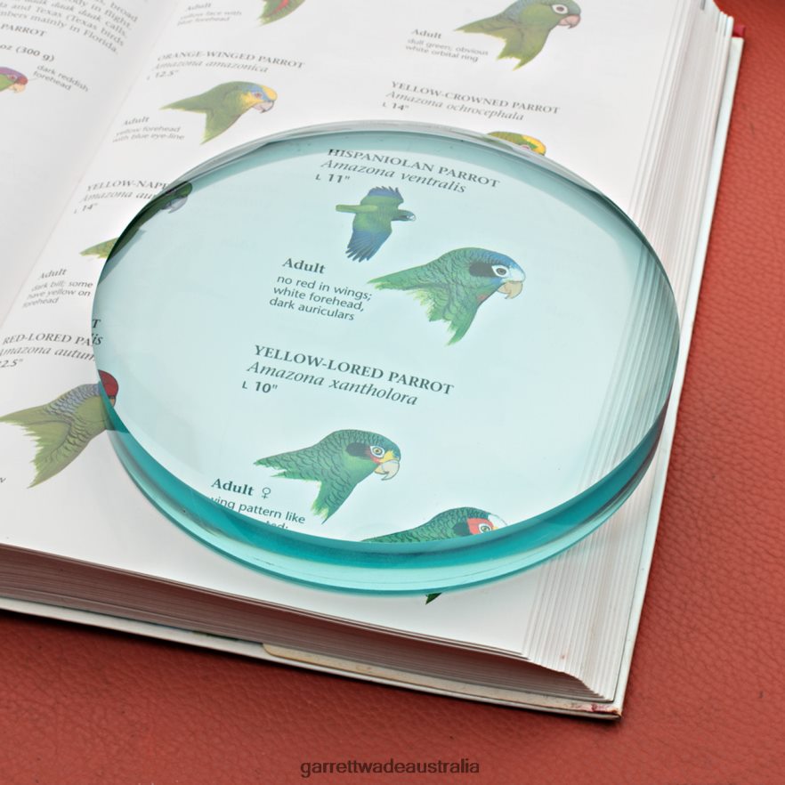 Garrett Wade Large Desktop Magnifier Workshop 46JHVR539